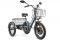 Электровелосипед GREEN CITY e-ALFA Trike